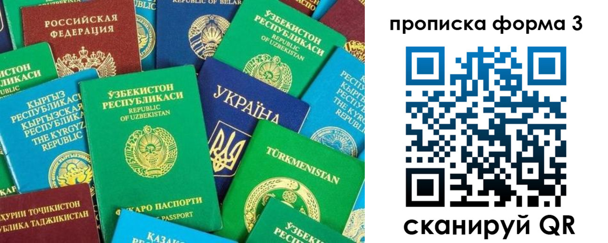 регистрация в Лыткарино